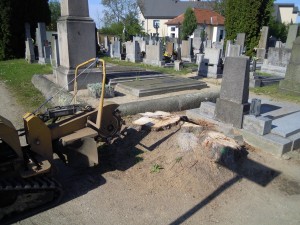 18 Workshop Revitalizace zaniklého hřbitova a obnova náhrobků   
